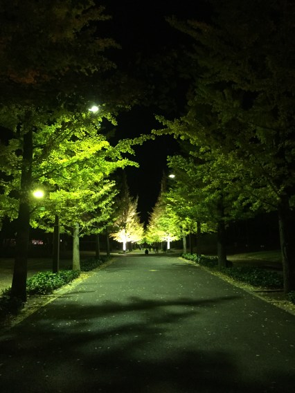 20161103_083212416_iOS